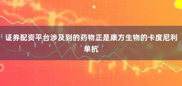 证券配资平台涉及到的药物正是康方生物的卡度尼利单抗